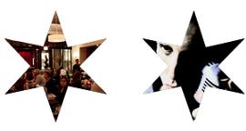 Mark Shale's Four Stars for November 